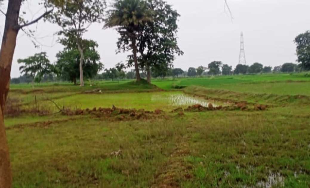 शासकीय भूमि पर कब्जा, हटाने में नाकाम हो रहे राजस्व विभाग के... - CG Sandesh