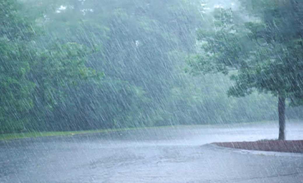महासमुंद :  जिले में अब तक 763 मिलीमीटर औसत वर्षा, सबसे ज्या... - CG Sandesh