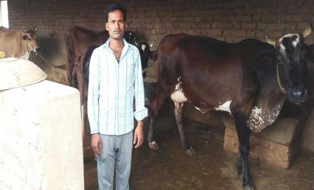 लिंगराज ने 15 दिन में गोबर बेच कर कमायें 44200 रूपए, एसएमएस ... - CG Sandesh
