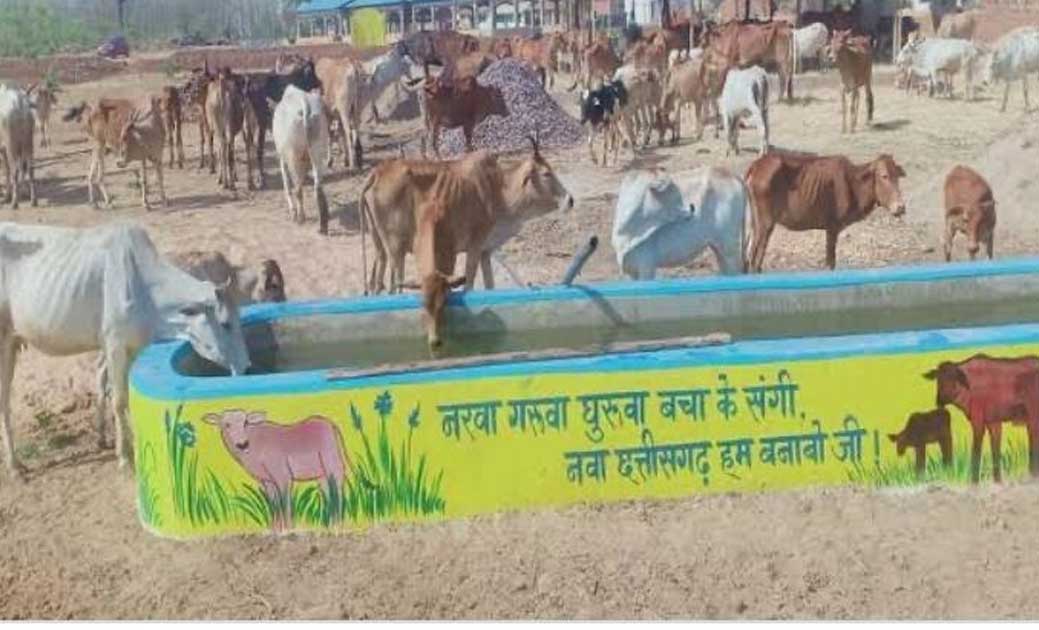 जिले की पौने दो सो से  ज़्यादा गौठानों  में मवेशियों के छाँव... - CG Sandesh