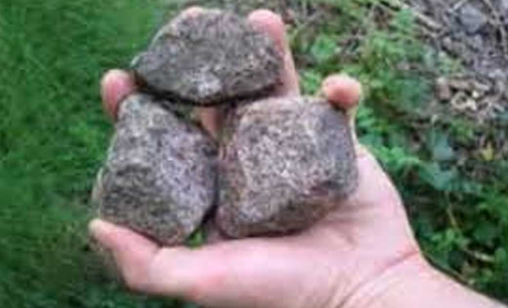 7 वर्ष की बच्ची पर पत्थर से हमला... गंभीर रूप से घायल... इलाज के वक़्त  मौत...
