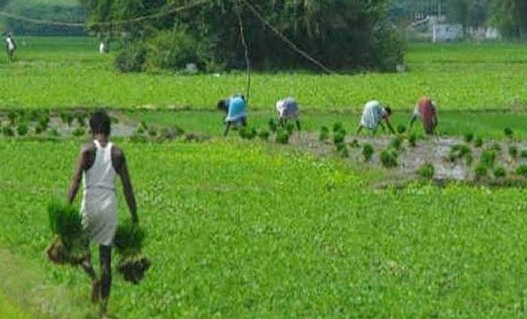 किसान बनकर अगर आप भी ले रहे हैं 6000 रुपये  ? अब लौटाने पड़े... - CG Sandesh