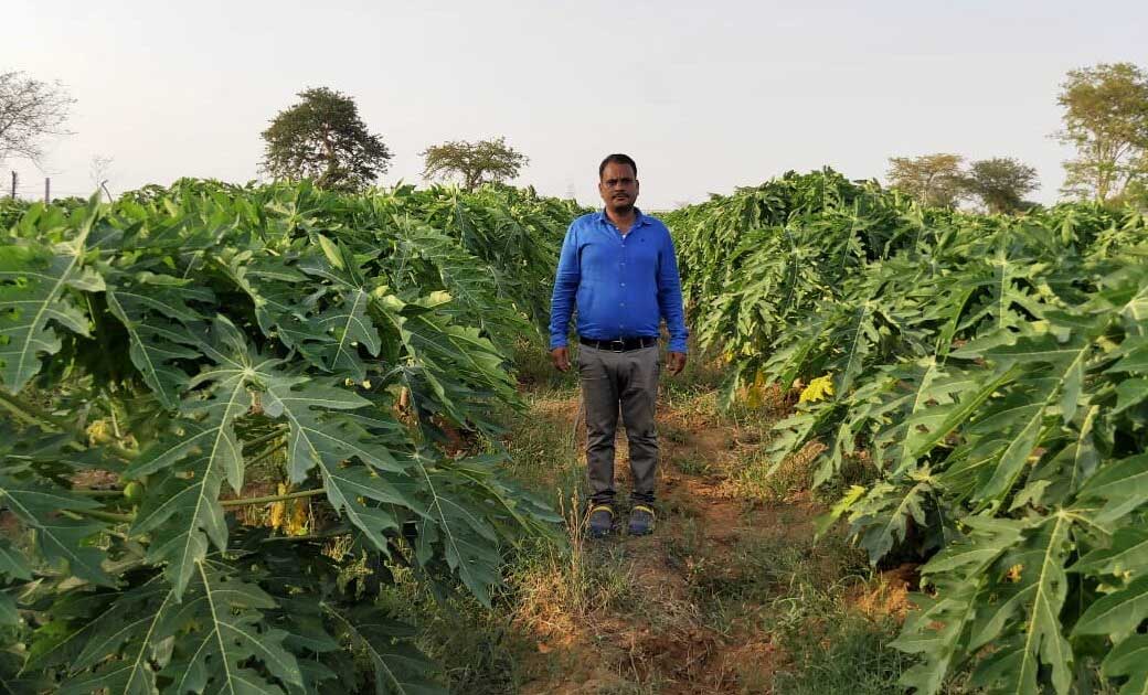 पपीते की खेती ने खेमराज को दिखाई तरक्की की राह