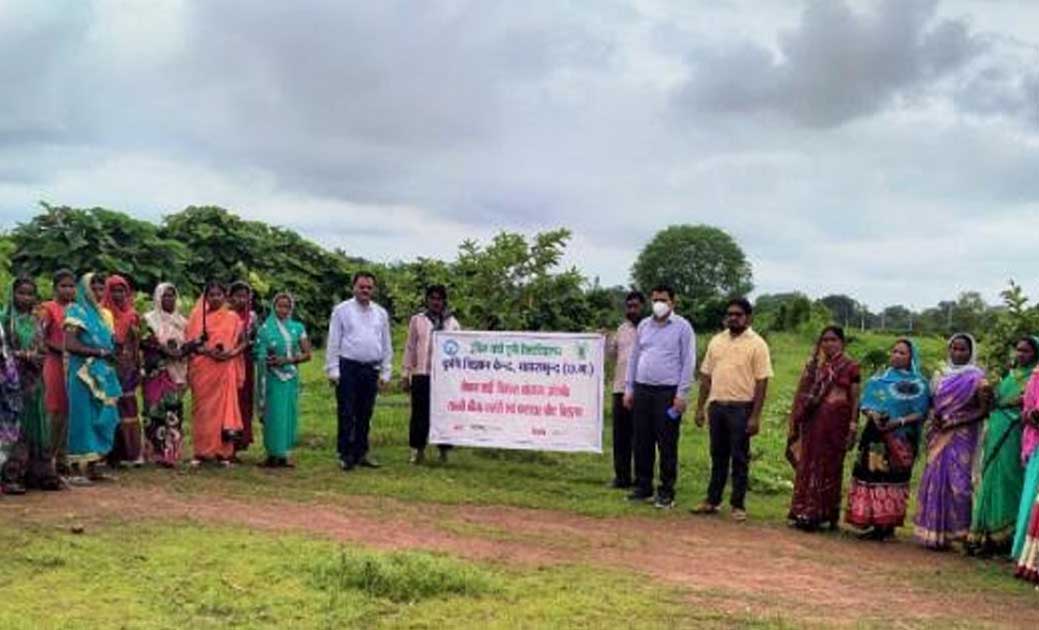 मनरेगा और कृषि विज्ञान केंद्र का अभिसरण : किसानों को उन्नत क... - CG Sandesh