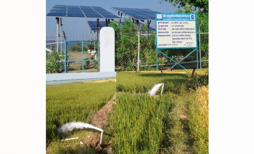 महासमुंद: सौर सिंचाई से किसानों की बदली तकदीर - CG Sandesh