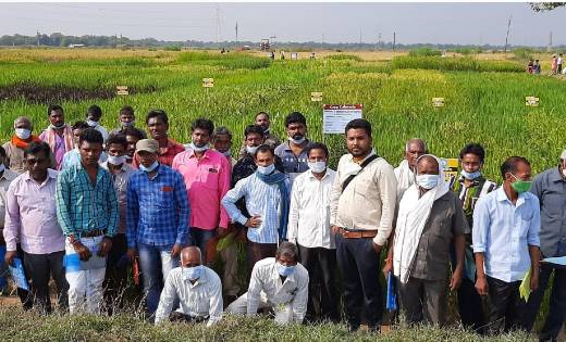 महासमुंद: आजादी का अमृत महोत्सव के अंतर्गत कृषक वैज्ञानिक पर... - CG Sandesh