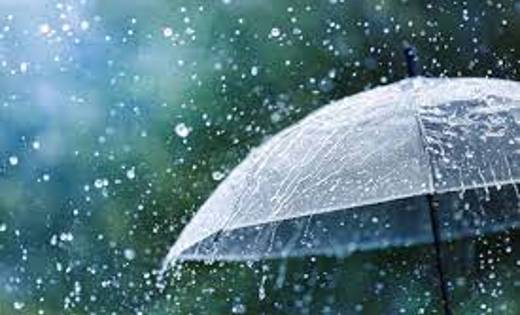 महासमुंद: जिले में अब तक 931.8 मिलीमीटर औसत वर्षा दर्ज - CG Sandesh