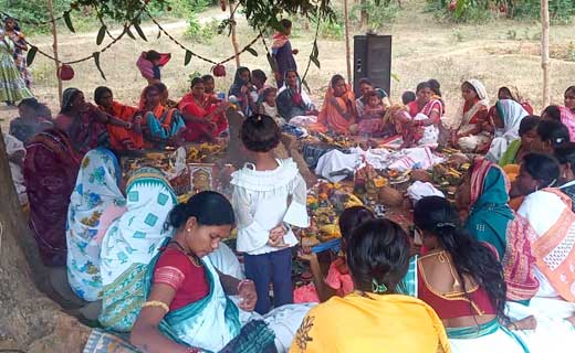 बागबाहरा वनांचल क्षेत्र के ग्राम बोकरामुडां खुर्द में किया ग... - CG Sandesh