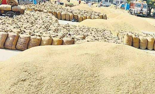 जिले में 01 दिसम्बर से होगी धान की खरीदी,  125 केन्द्रों में... - CG Sandesh