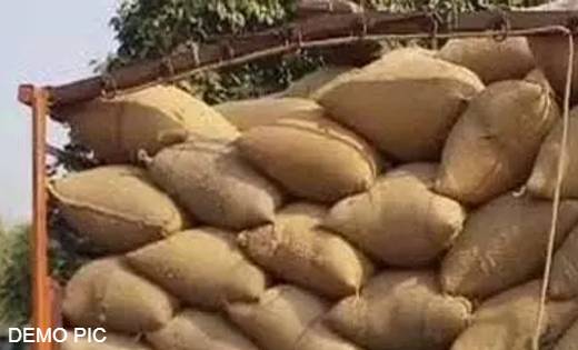 झारखंड से छत्तीसगढ़ ला रहे अवैध धान जप्त - CG Sandesh