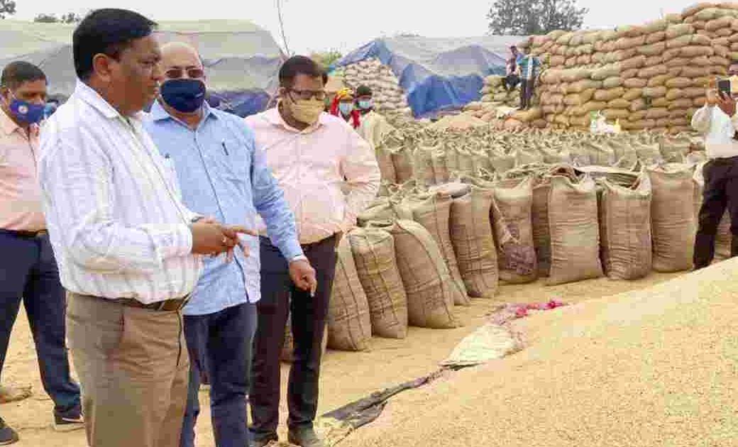 महासमुन्द : अवैध रूप से धान का भंडारण करने वाले 04 लोगों पर ... - CG Sandesh