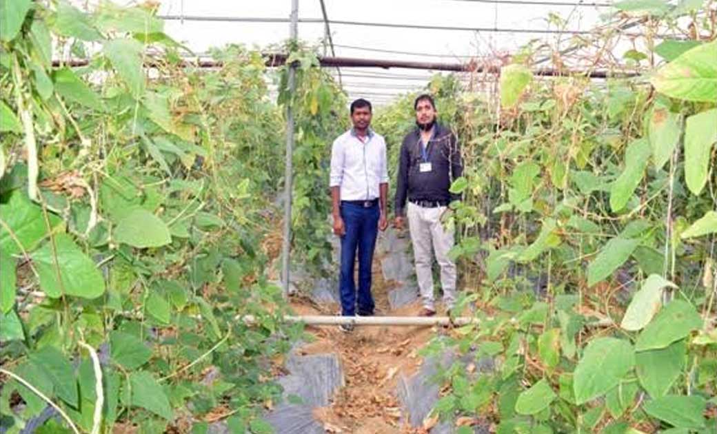 महासमुंद : जिले के किसानों को मिल रही सौर ऊर्जा से चलित पम्प... - CG Sandesh