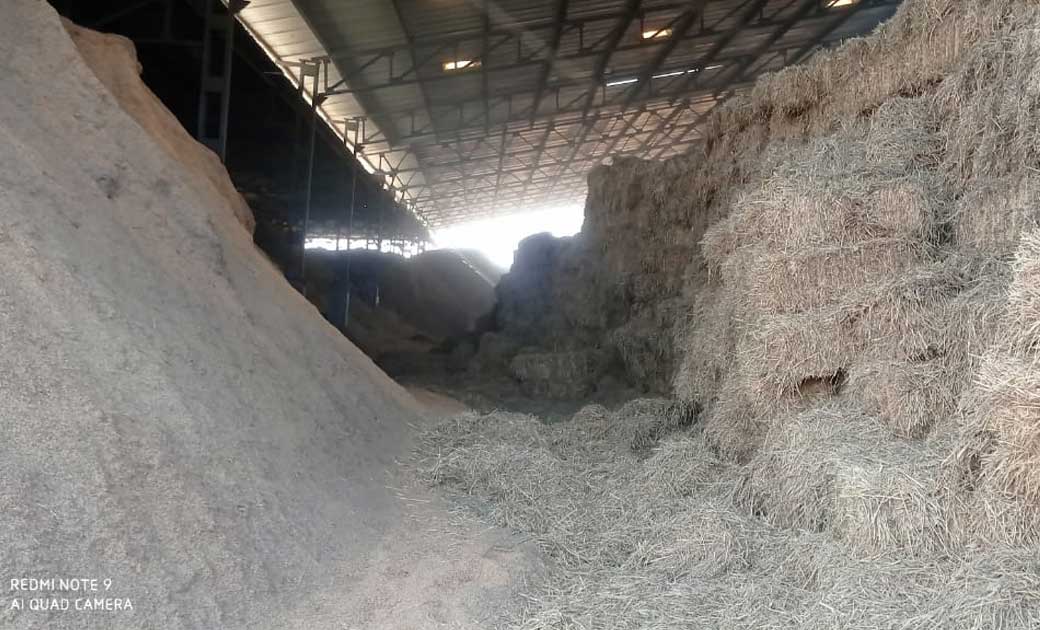 महासमुंद : प्लांट में बिजली बनाने के लिए पराली (पैरा) का उपय... - CG Sandesh