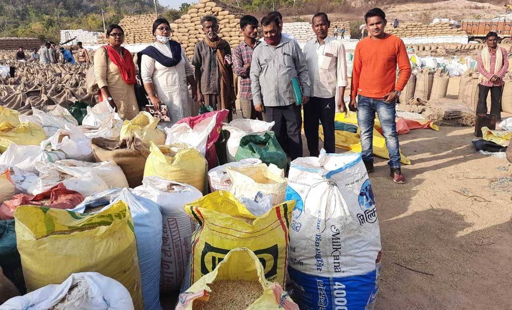 महासमुंद : अवैध रूप से धान का भंडारण करने वाले 05 लोगों पर क... - CG Sandesh