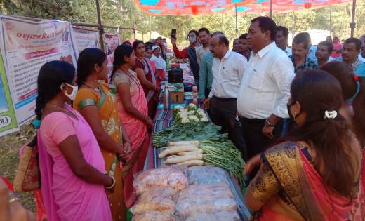 महासमुंद: जिला पंचायत अध्यक्ष, कलेक्टर, सीईओ ने पिथौरा एवं म... - CG Sandesh