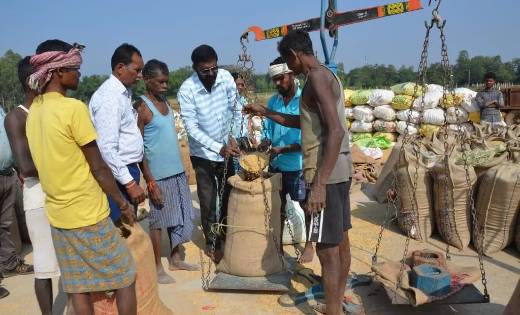 महासमुंद: खरीफ विपणन वर्ष में समर्थन मूल्य में धान एवं मक्का... - CG Sandesh
