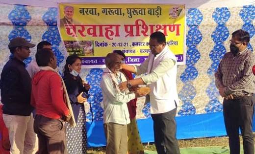 महासमुंद: गौठानों के चरवाहों को दिया जा रहा प्रशिक्षण, गोवंश... - CG Sandesh
