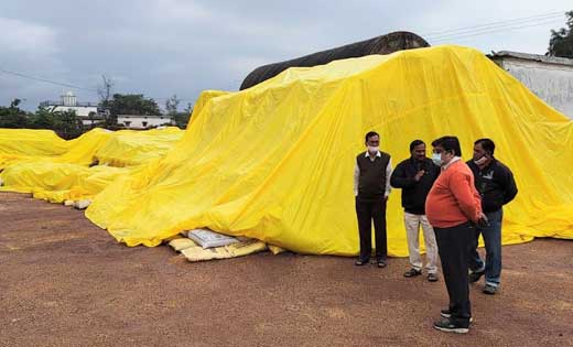 महासमुंद : बारिश से धान बचाव की सुरक्षा का पुख्ता इंतज़ाम करे... - CG Sandesh