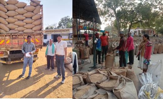 महासमुंद: अब तक ज़िले में 332104 मेट्रिक टन धान की खरीदी, धा... - CG Sandesh