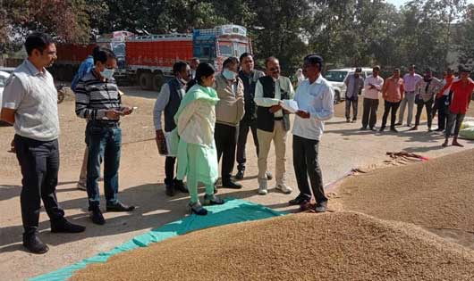 महासमुंद :  मार्कफेड के प्रबंध संचालक किरण कौशल ने धान खरीदी... - CG Sandesh