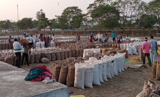 महासमुंद: जिले में पहले दिन 1 लाख क्विंटल से ज्यादा धान की ह... - CG Sandesh