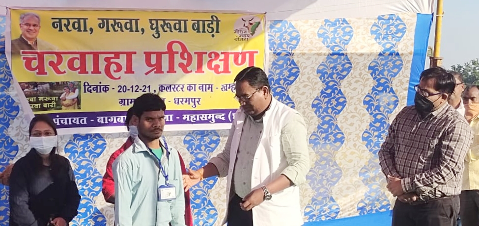 कलेक्टर  सिंह ने धरमपुर में चरवाहा प्रशिक्षण कार्यक्रम का अव... - CG Sandesh