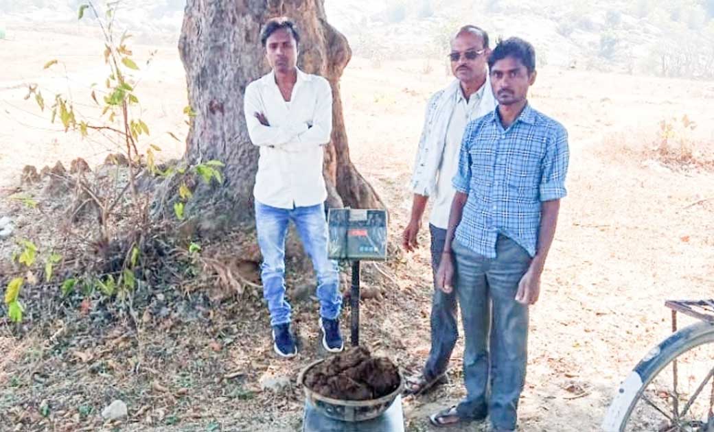बागबाहरा : गोधन न्याय योजना अंतर्गत ग्राम पंचायत बोइरगांव मे... - CG Sandesh