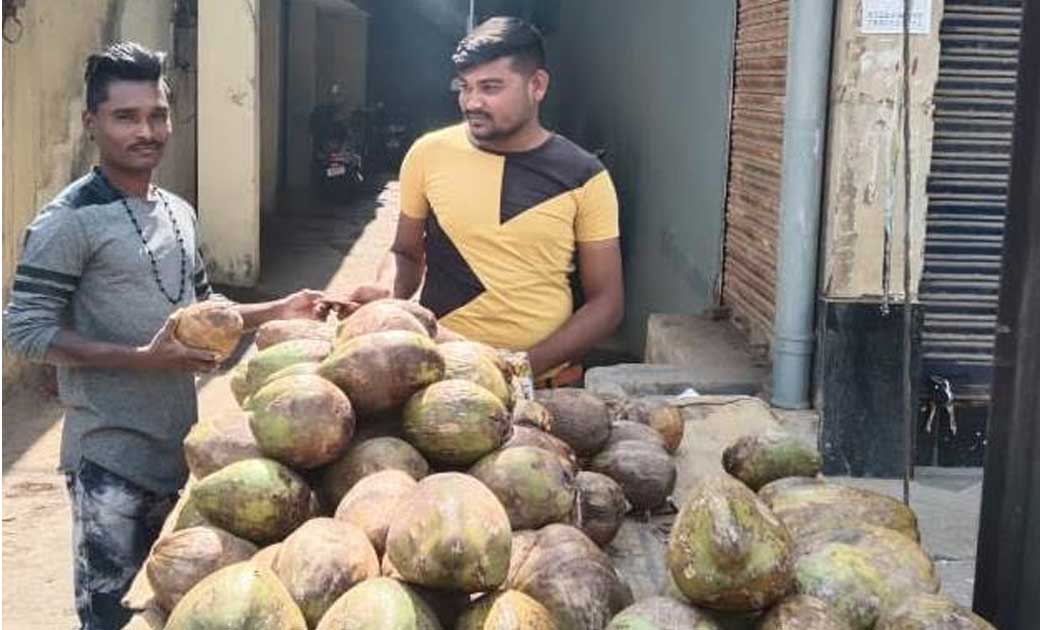 महासमुंद :  सफलता की कहानी : नारियल पानी बेचकर श्री कान्हा न... - CG Sandesh