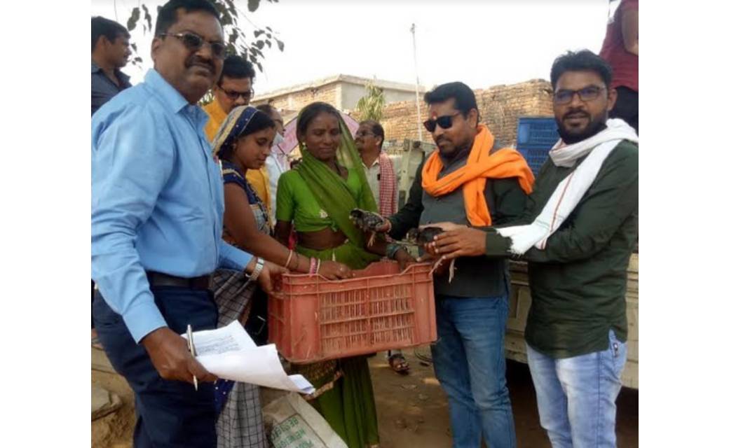 महासमुंद : गौठान ग्राम बम्हनी में बैकयार्ड कुक्कुट इकाई का क... - CG Sandesh