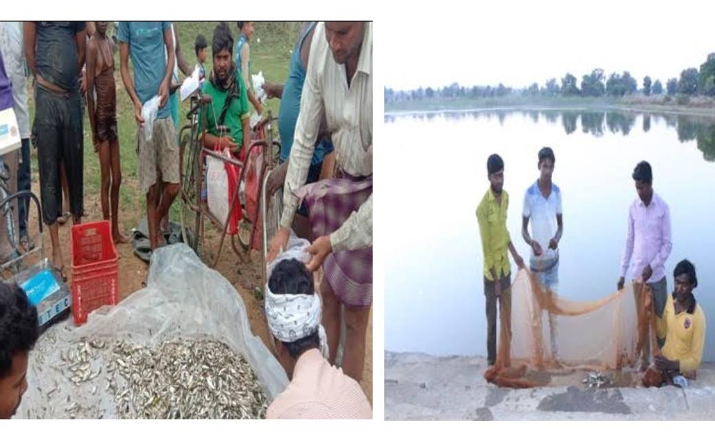 महासमुन्द  : दिव्यांगजनों का हौसला औरों को दे रहा प्रेरणा,  ... - CG Sandesh