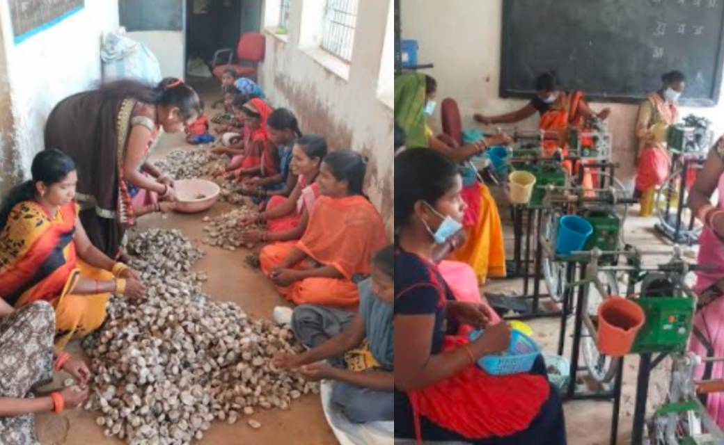 महासमुन्द : ग्रामीण आदिवासी महिलाएं जल्द बनायंगी टसर कोसा धा... - CG Sandesh