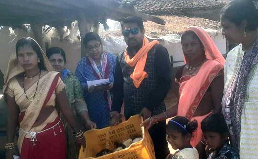 महासमुंद : कुक्कुट वितरण योजना से समूह की महिलाओं को मिल रही... - CG Sandesh