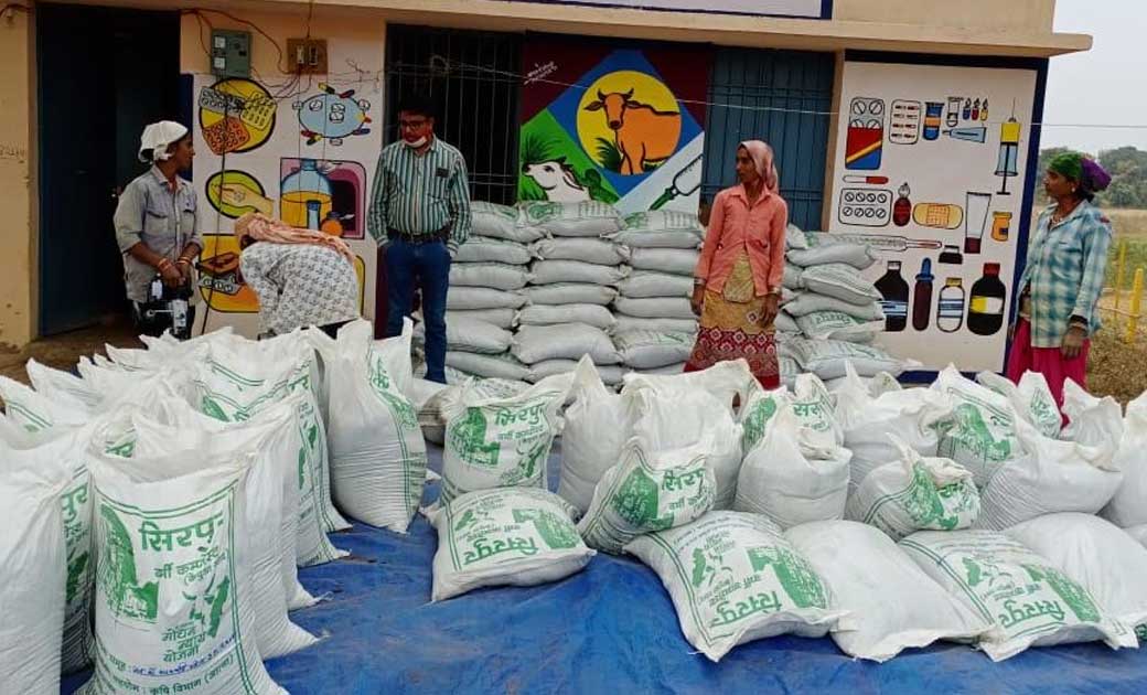 महासमुंद : गौठान में  गोबर से खाद निर्माण कर समूह की महिलाएं... - CG Sandesh