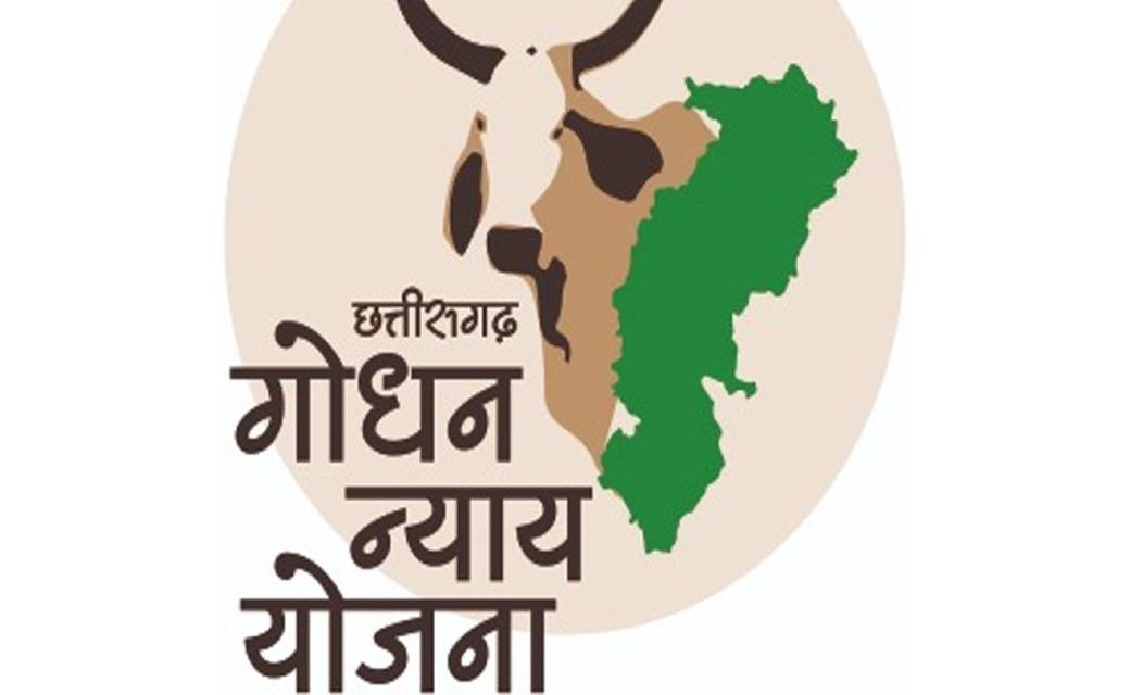 महासमुंद : कांकेर ज़िले का समूह दल कल करेगा   गौठान में चल र... - CG Sandesh