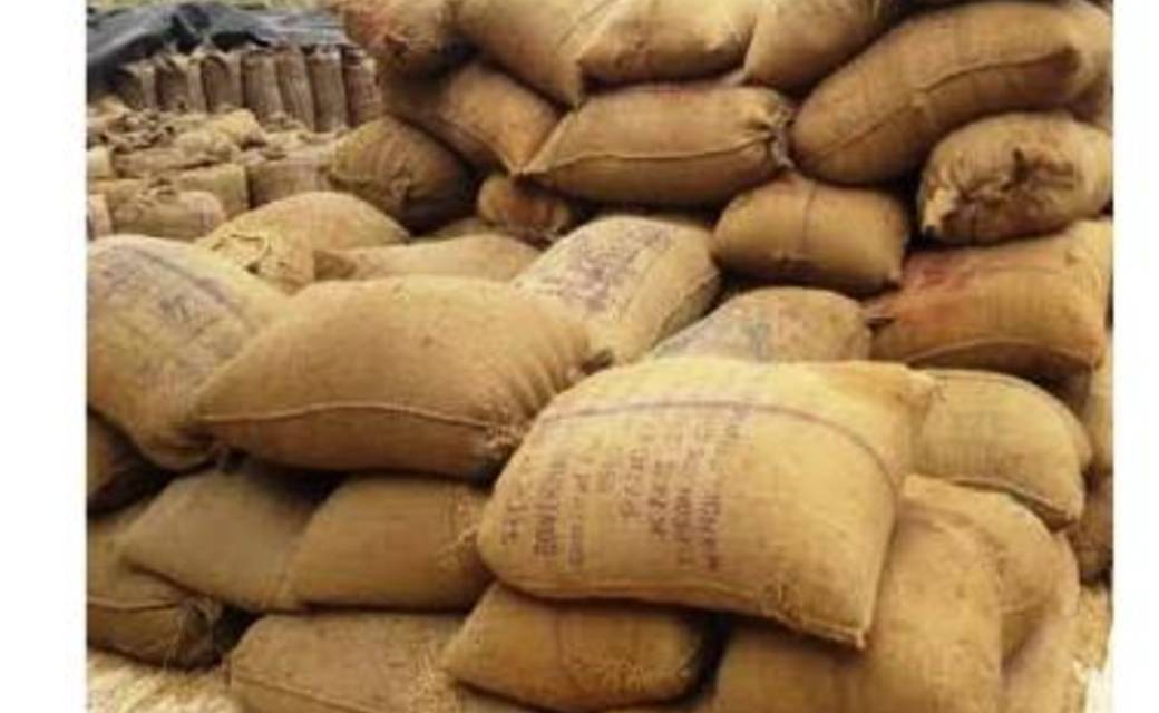 बोर घर के कमरे का ताला तोड़ कर 25 कट्टा धान पार...