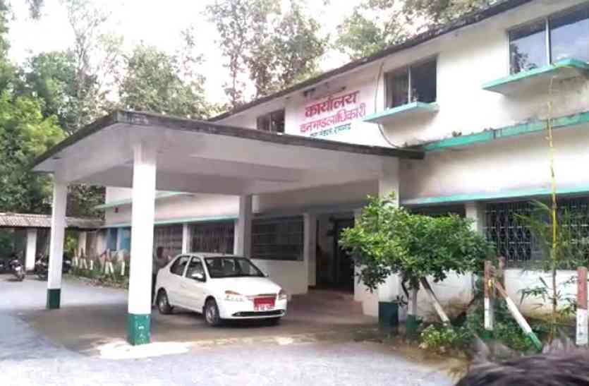 टेंट घोटाले पर क्यों खामोश हैं रायगढ़ वन मंडल के डीएफओ..