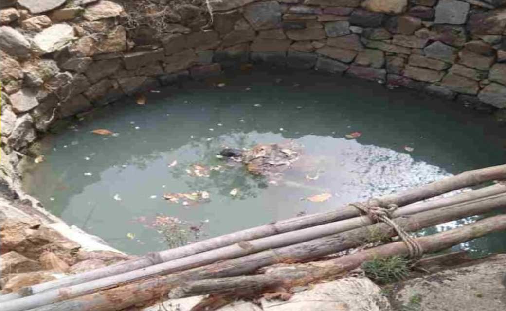 जशपुर : कोतबा घर से होली खेलने निकले युवक का शव अपने चाचा के... - CG Sandesh