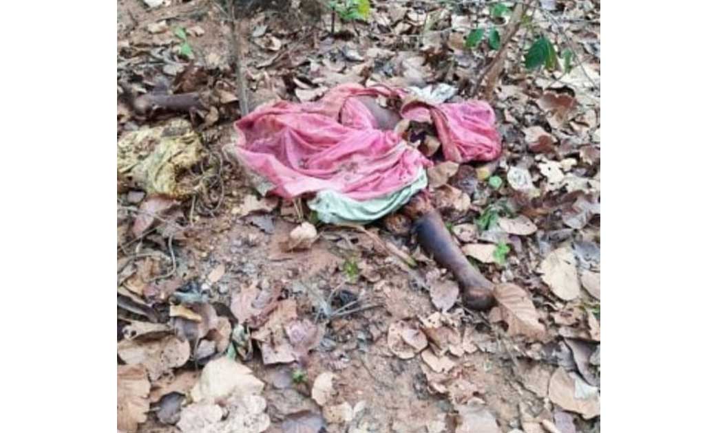 जशपुर : हाथियों के दल ने एक बुजुर्ग को कुचल कर मौत के घाट उत... - CG Sandesh