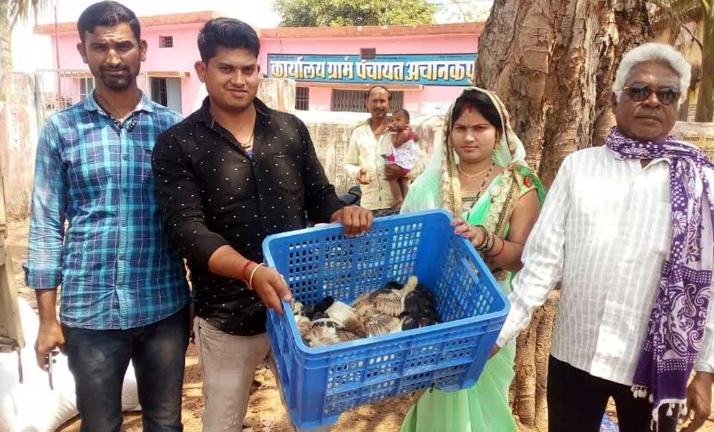 महासमुंद : महासमुंद के विभिन्न ग्रामों में 38 बैकयार्ड कुक्क... - CG Sandesh