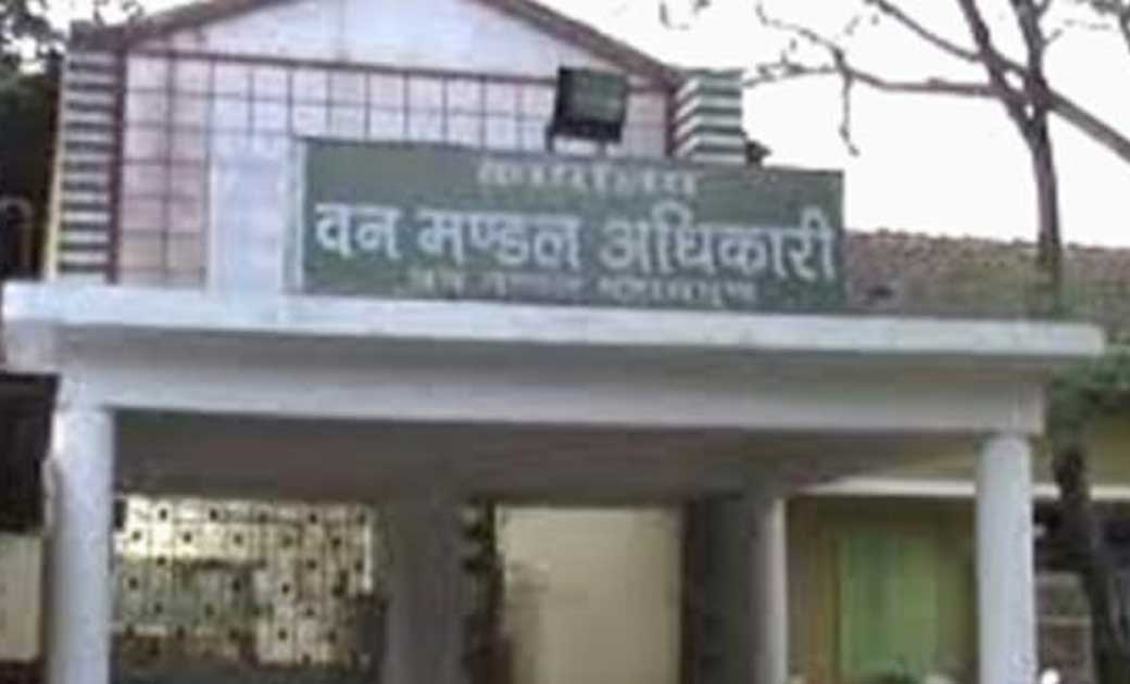 सराईपाली वन परिक्षेत्राधिकारी ने लॉकडाउन के दौरान कर दिया कमाल, 6 लाख रुपये का किया धमाल...!