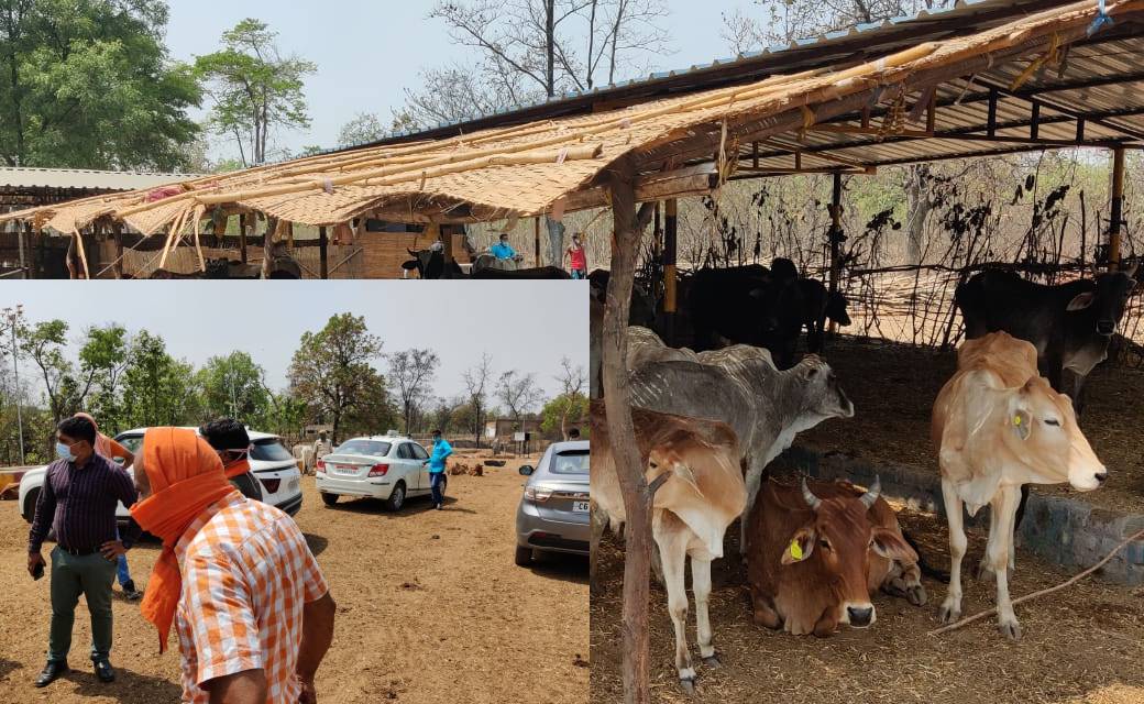 गौ-गरीबों के मददगार बने नगर निगम आयुक्त आशुतोष पांडेय