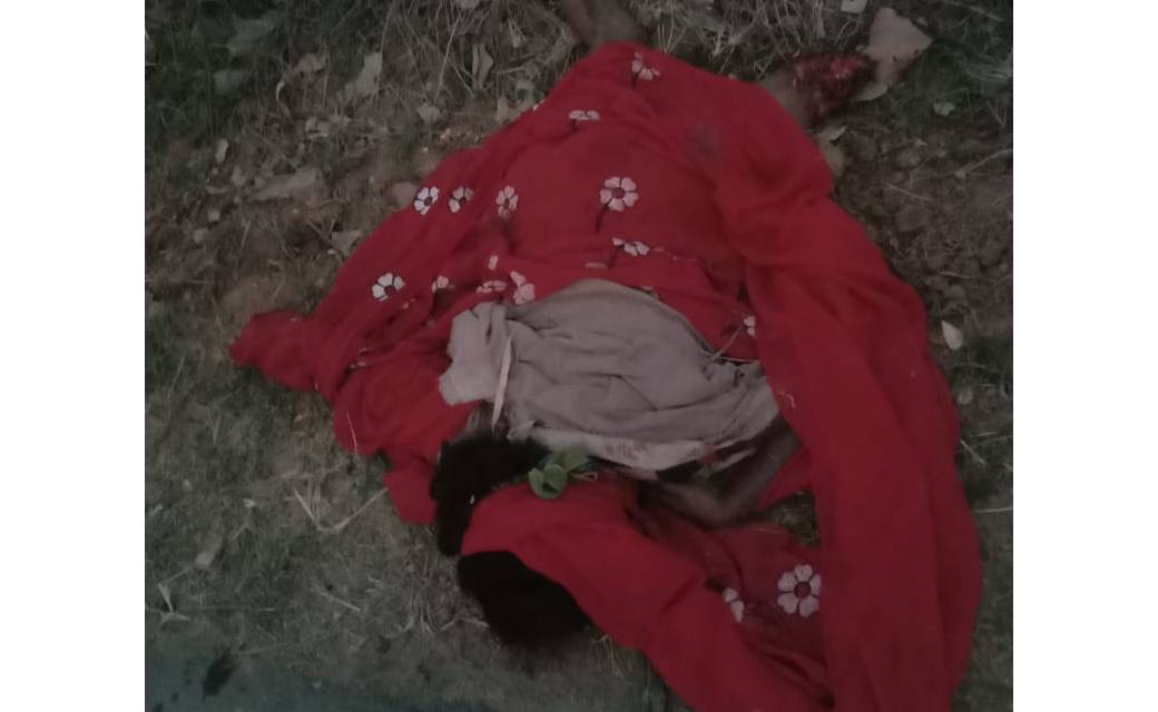 बागबाहरा : दंतैल हाथी ने ली फिर एक महिला की जान