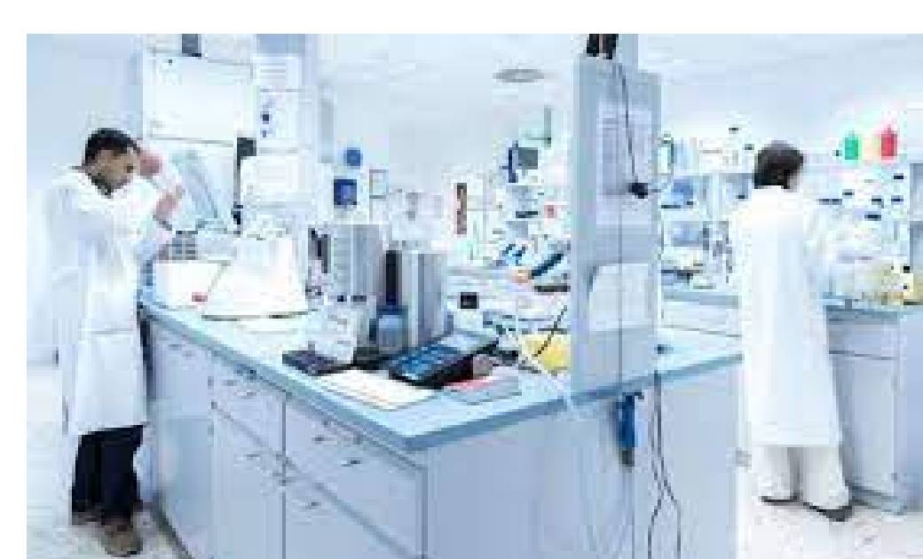 महासमुन्द : वायरोलाॅजी लैब के लिए विभिन्न पदों पर होगा साक्ष... - CG Sandesh