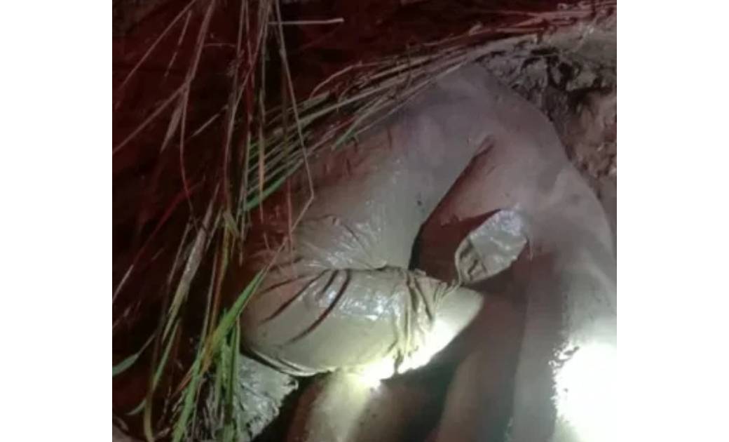 महासमुंद  : खेत मे काम रहे किसान को हाथी ने अपने पैरों तले कुचला,किसान की मौके पर मौत