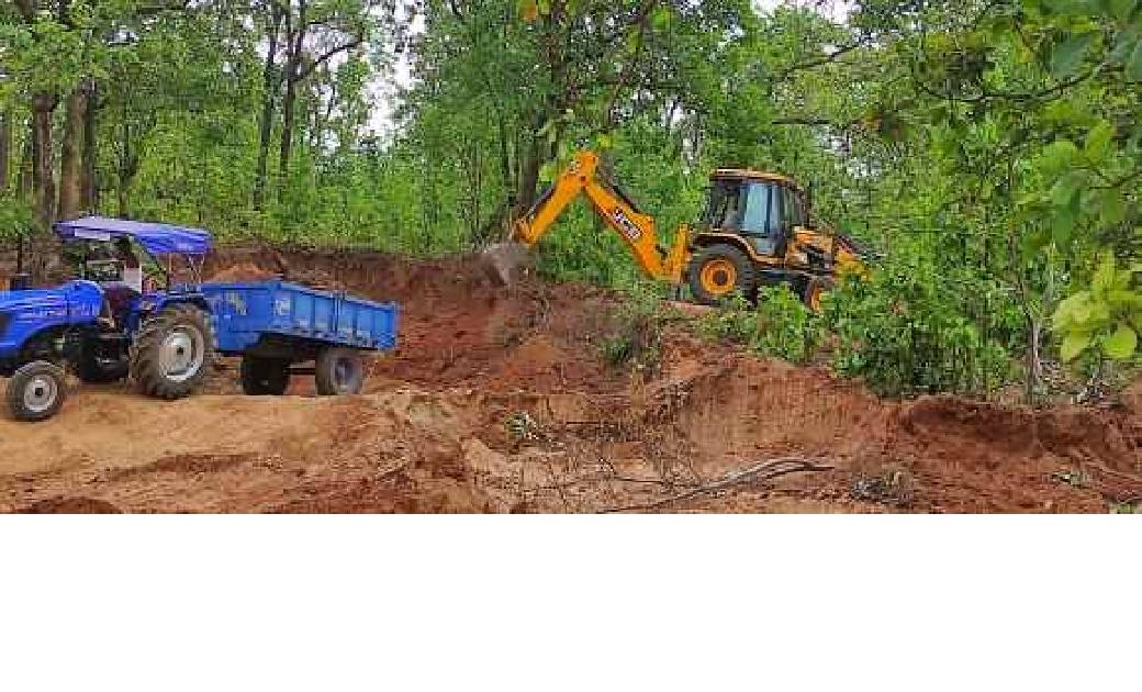 जशपुर : सड़क बनाने के लिए पेड़ो को कर रहे धराशाई...  - CG Sandesh