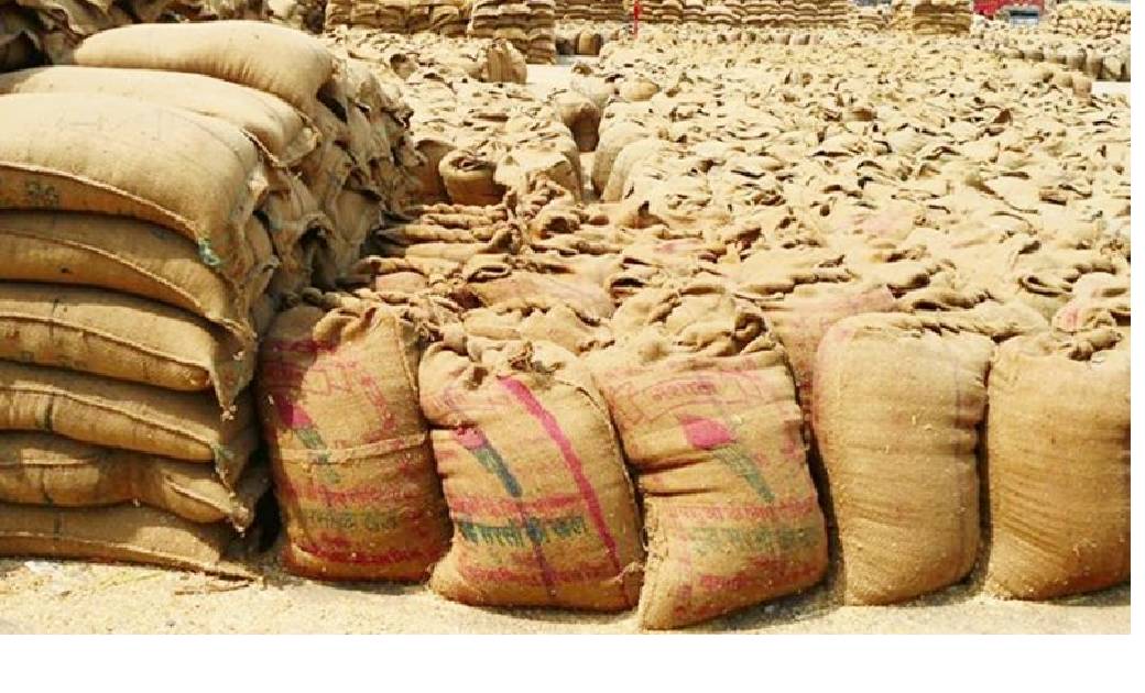 गरियाबंद : 71 हजार 623 किसानों को 194 करोड़ रूपए इनपुट सब्सिड... - CG Sandesh
