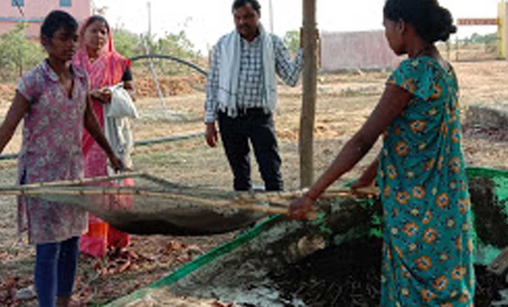 जशपुर जिले में 189 गोठान के माध्यम से की जा रही गोबर खरीदी - CG Sandesh