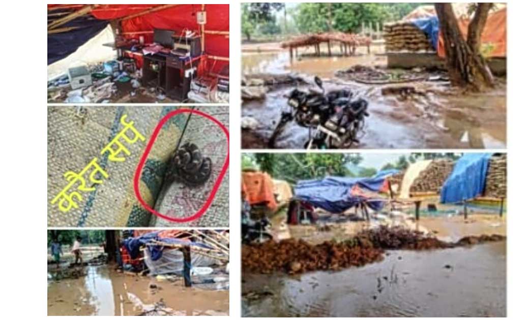 रायगढ़ - धान खरीदी केंद्र में बिलबिला रहे सांप,सांपो के डर से रात में पहरा नहीं दे रहे चौकीदार..आँधी तूफान वर्षा से धान को बचाना हो रहा मुश्किल..