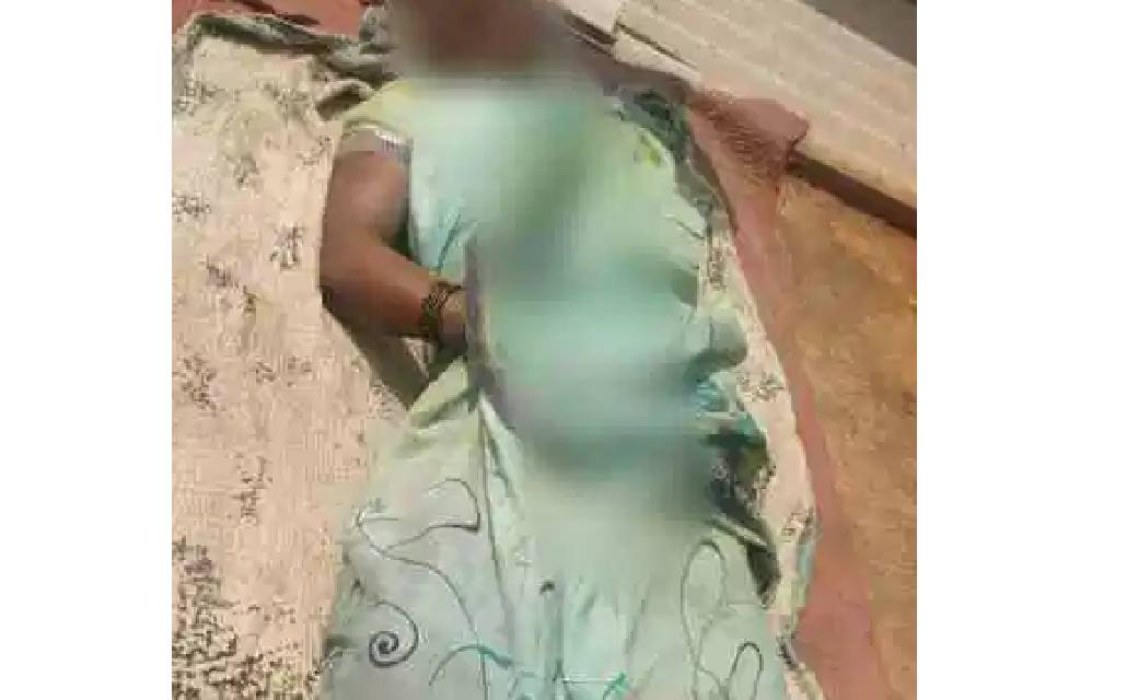 हाथी से बचने लगाया करंट तार ...महिला आई चपेट में  हुई मौके प... - CG Sandesh