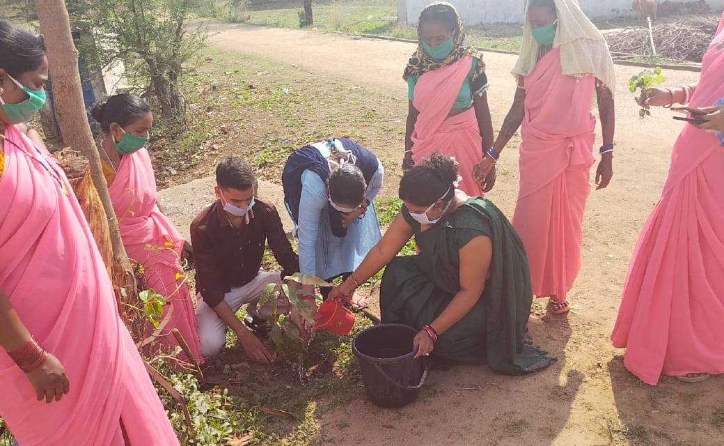 मितानियो ने  विश्व पर्यावरण दिवस के अवसर पर किया वृक्षारोपण ... - CG Sandesh